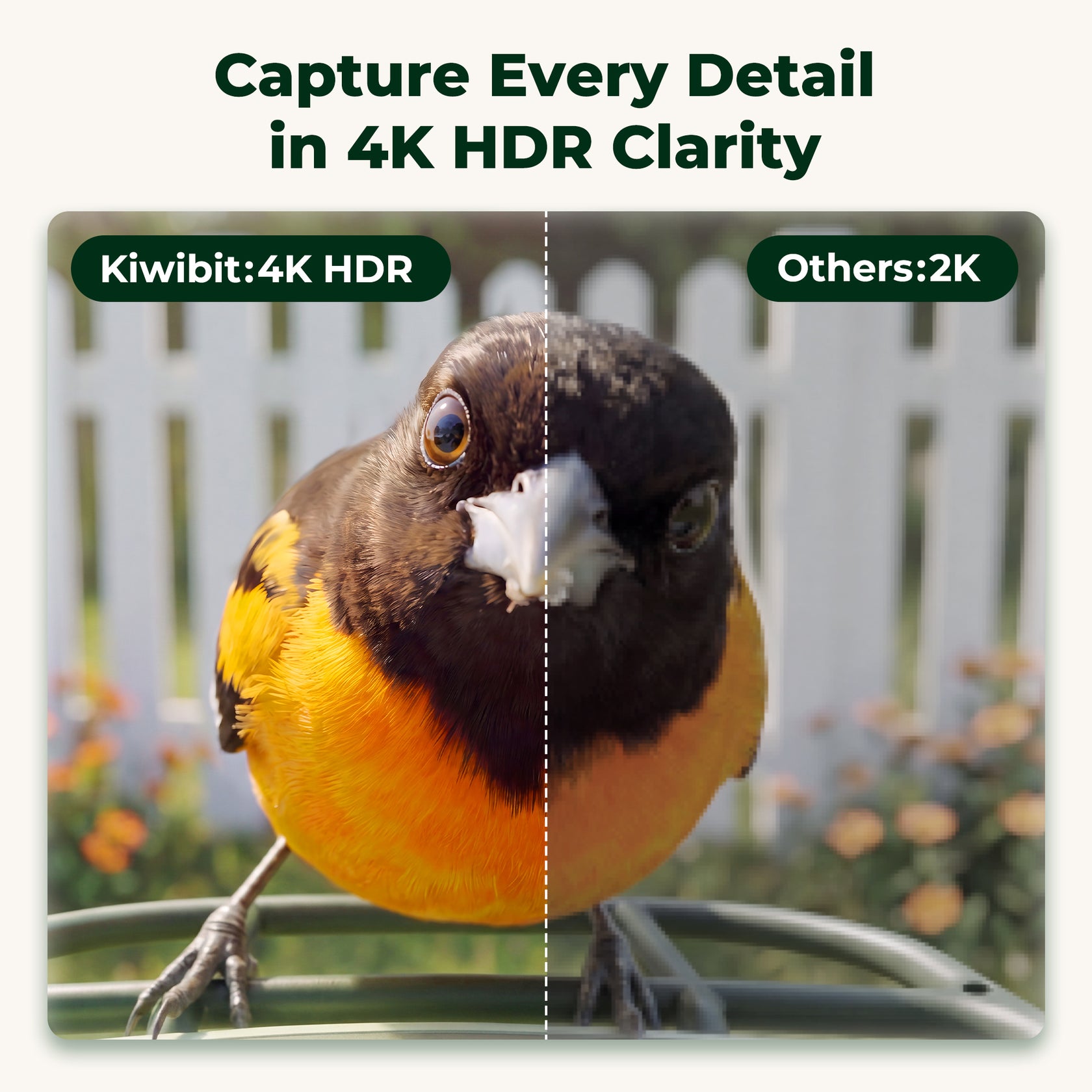 Kiwibit Bird Feeder 2 Mini 4K AI Camera with Solar Panel