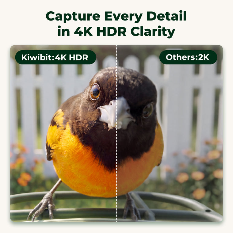 Kiwibit Bird Feeder 2 Mini 4K AI Camera with Solar Panel