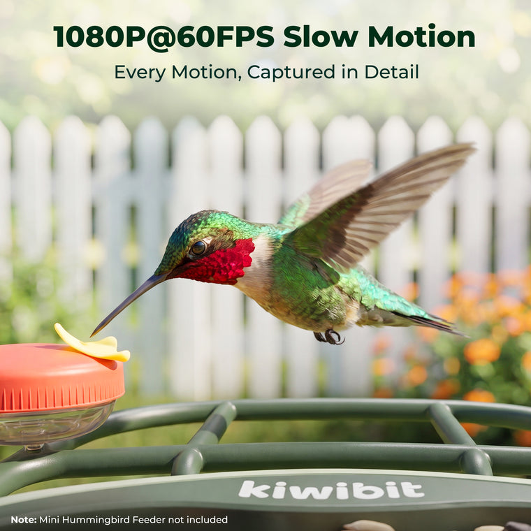 Kiwibit Bird Feeder 2 Mini 4K AI Camera with Solar Panel