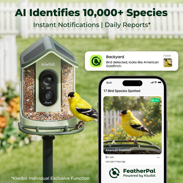 Kiwibit Bird Feeder 2 Mini 4K AI Camera with Solar Panel