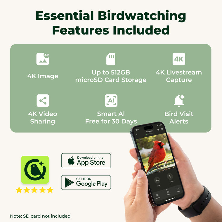 Kiwibit Bird Feeder 2 Mini 4K AI Camera with Solar Panel