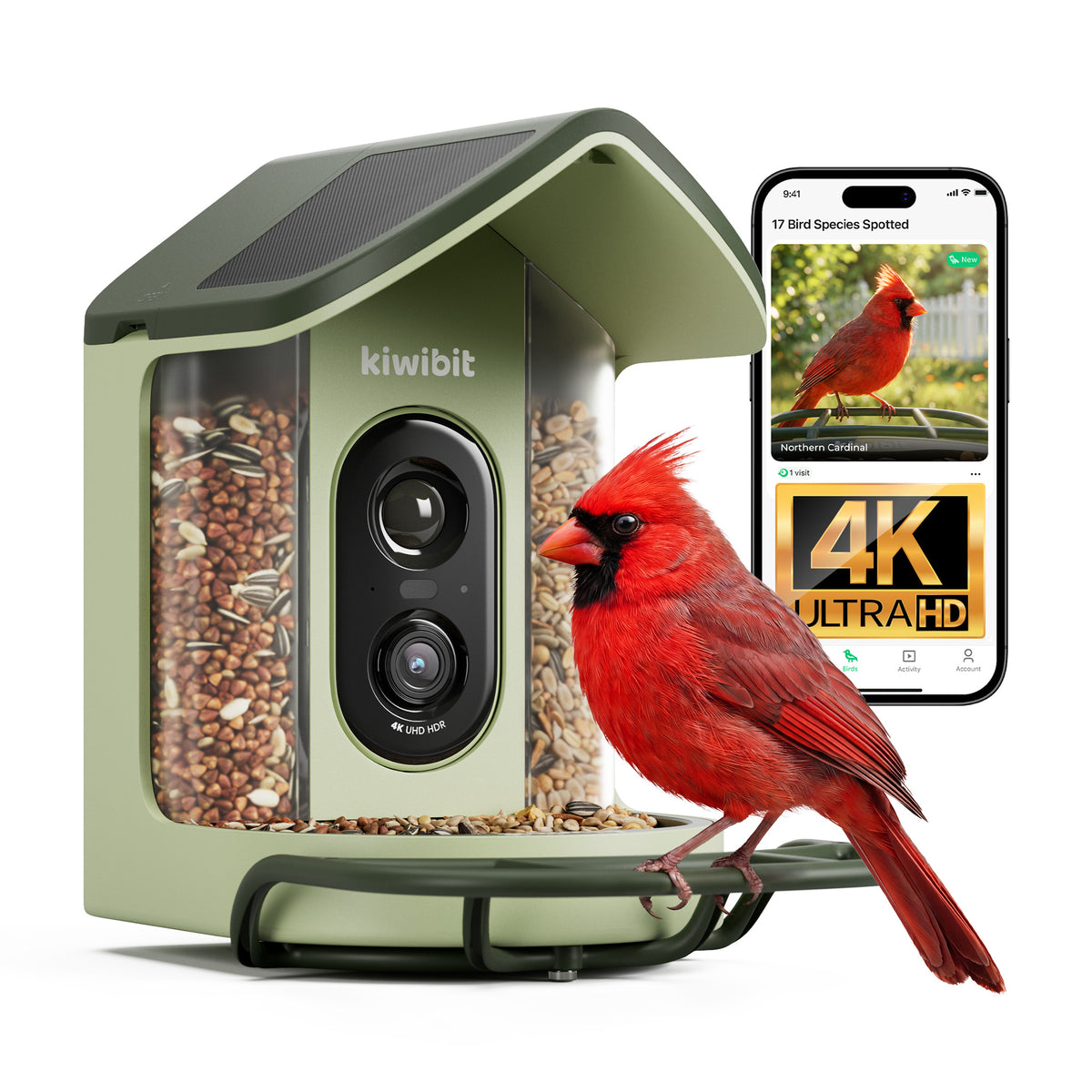 Kiwibit Bird Feeder 2 Mini