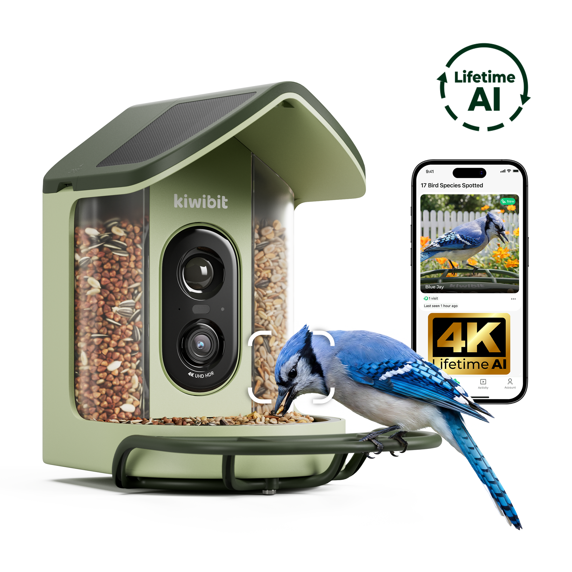 Kiwibit Bird Feeder 2 Mini 4K AI Camera with Solar Panel (Lifetime AI Included)