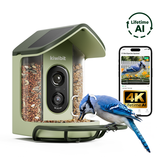 Kiwibit Bird Feeder 2 Mini 4K AI Camera with Solar Panel (Lifetime AI Included)