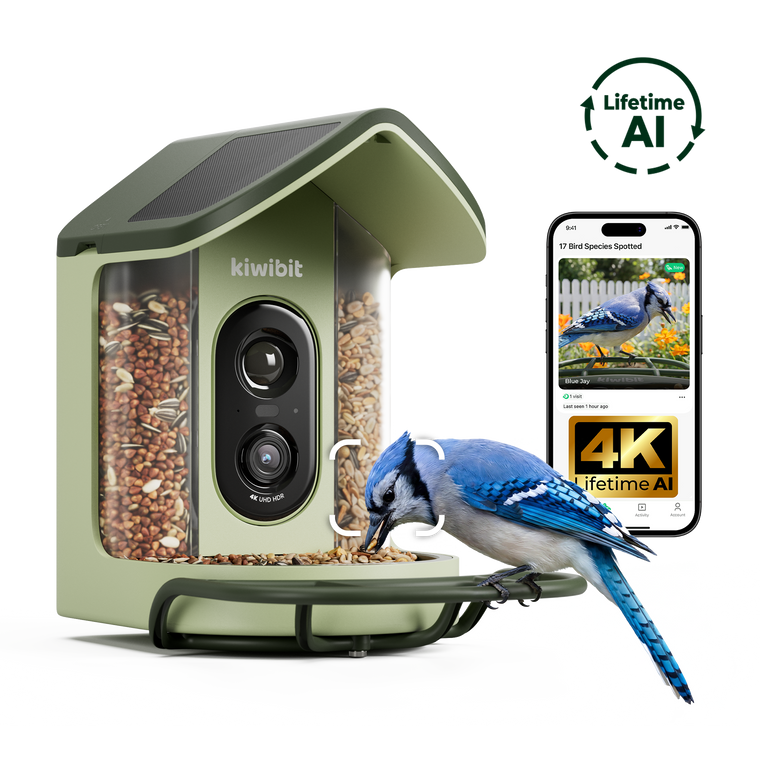 Kiwibit Bird Feeder 2 Mini 4K AI Camera with Solar Panel (Lifetime AI Included)