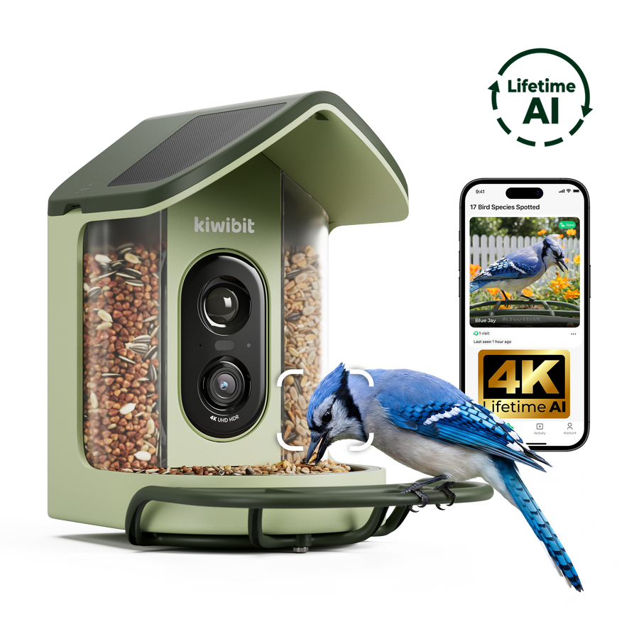 Kiwibit Bird Feeder 2 Mini (Lifetime AI Included)