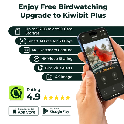 Kiwibit Plus (Premium family) – AI Bird Recognition, Smart Alerts, 60-Day Cloud Storage & Bird Story