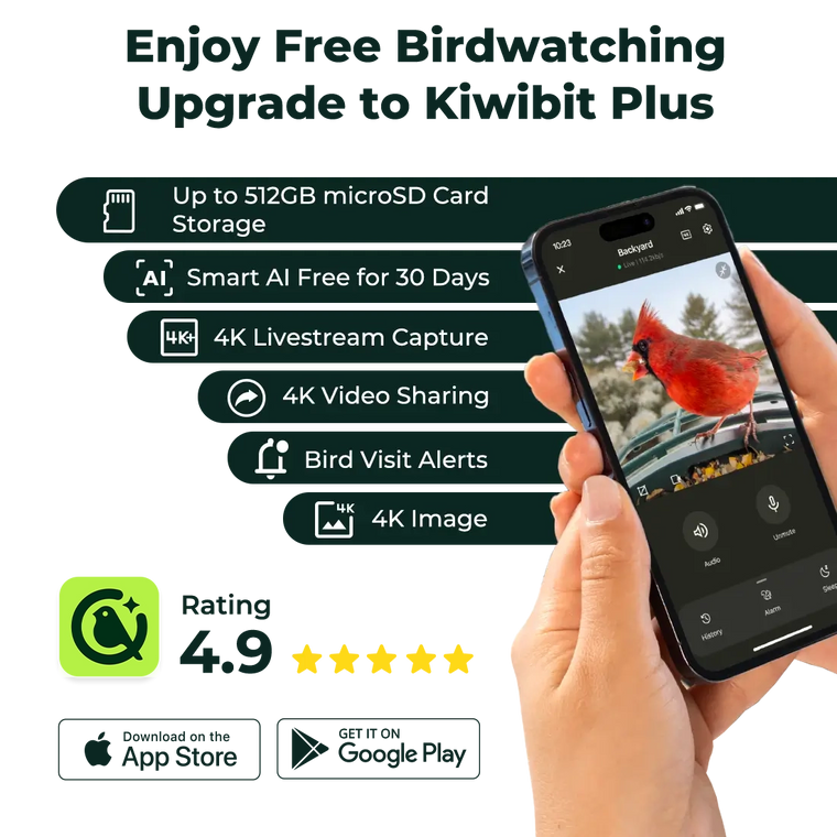 Kiwibit Plus (Premium family) – AI Bird Recognition, Smart Alerts, 60-Day Cloud Storage & Bird Story