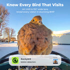 Kiwibit Bird Feeder 2 4K AI Camera with Solar Panel