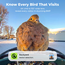 Kiwibit Bird Feeder 2 4K AI Camera with Solar Panel + Free 2K Wired Security Camera