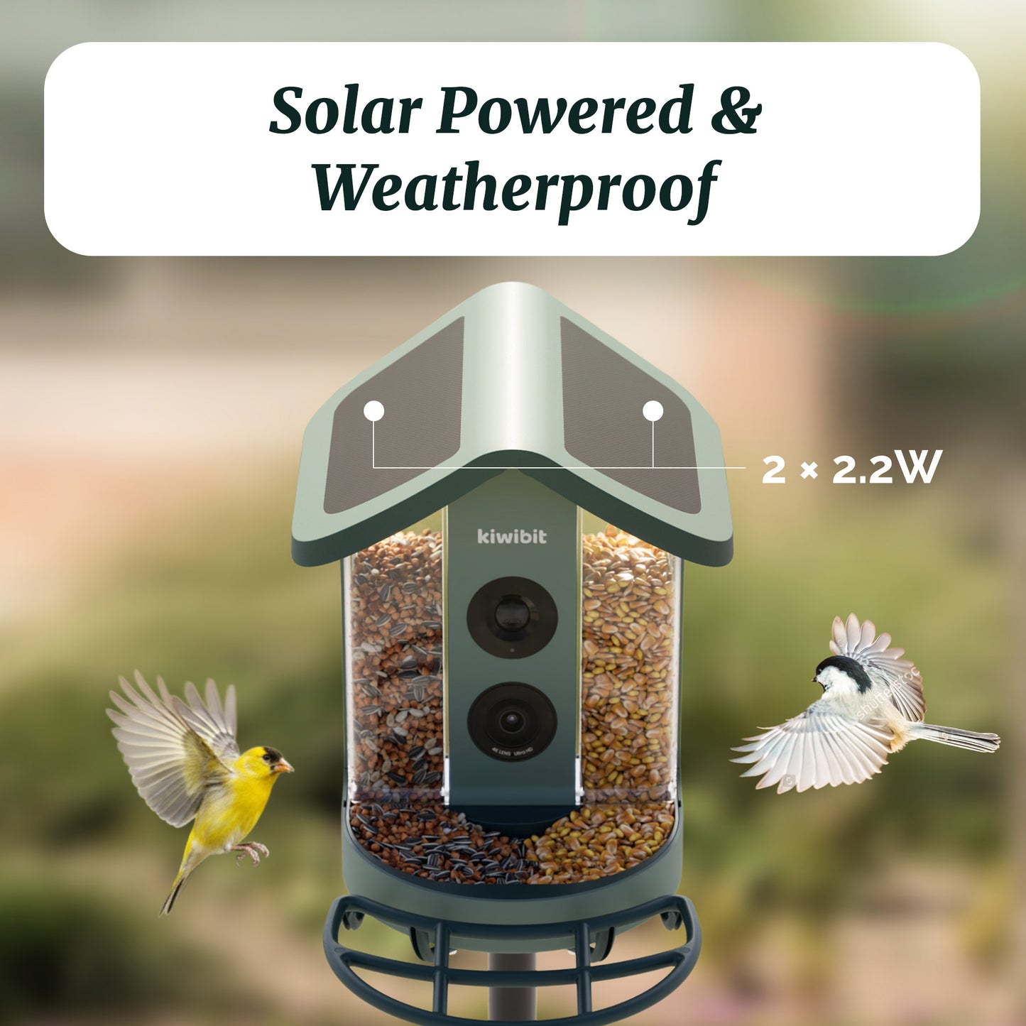 Kiwibit Smart Bird Feeder – 4.4W Solar Roof Replacement (IP65 Waterproof)