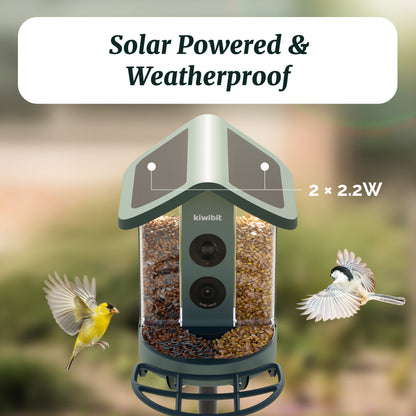 Kiwibit Smart Bird Feeder – 4.4W Solar Roof Replacement (IP65 Waterproof)