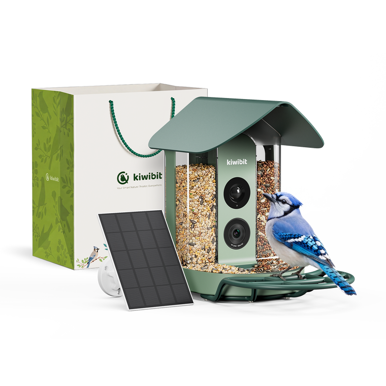 Kiwibit Bird Feeder with Gift Packaging Kit