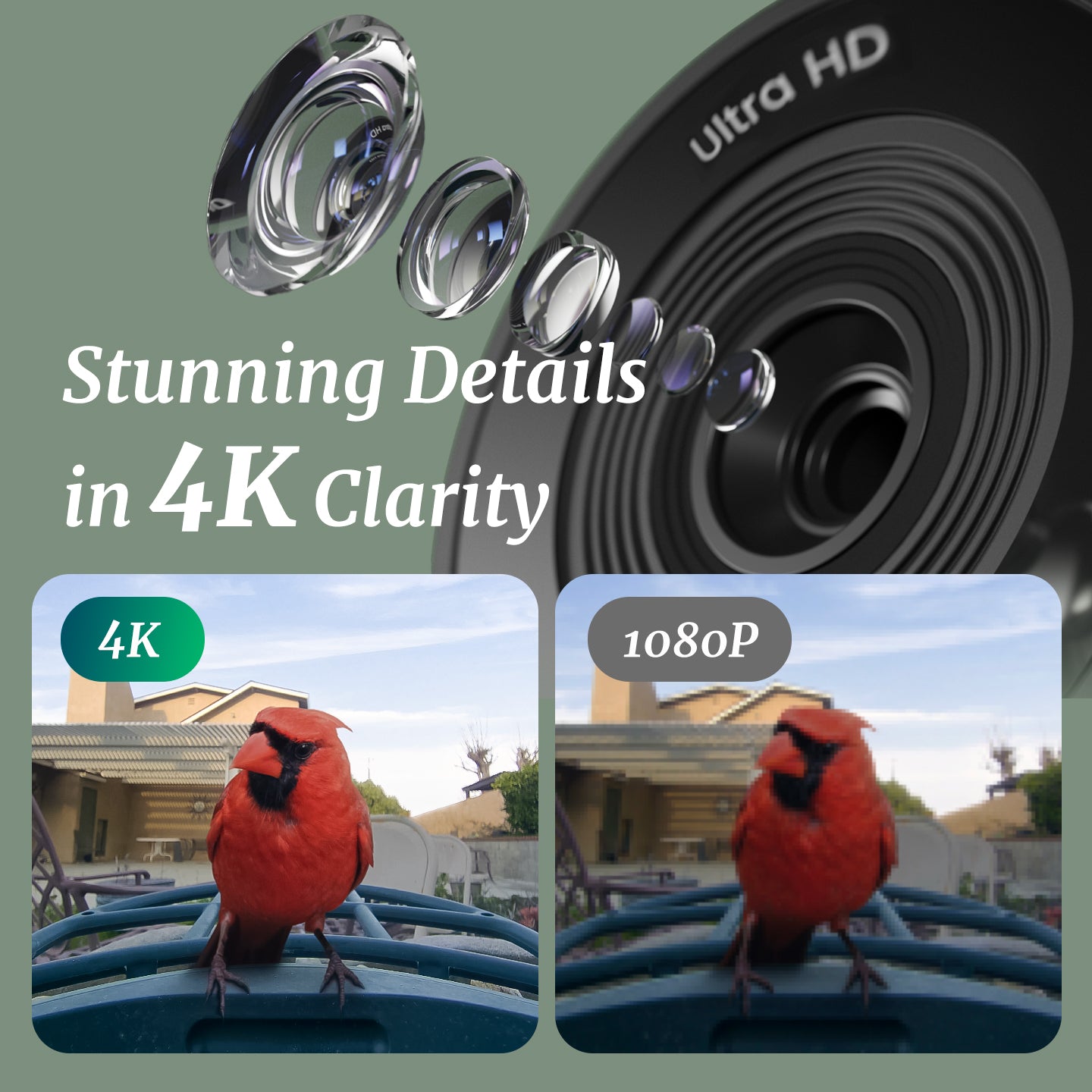 Beako™ Smart Bird Feeder With Camera-AI Included