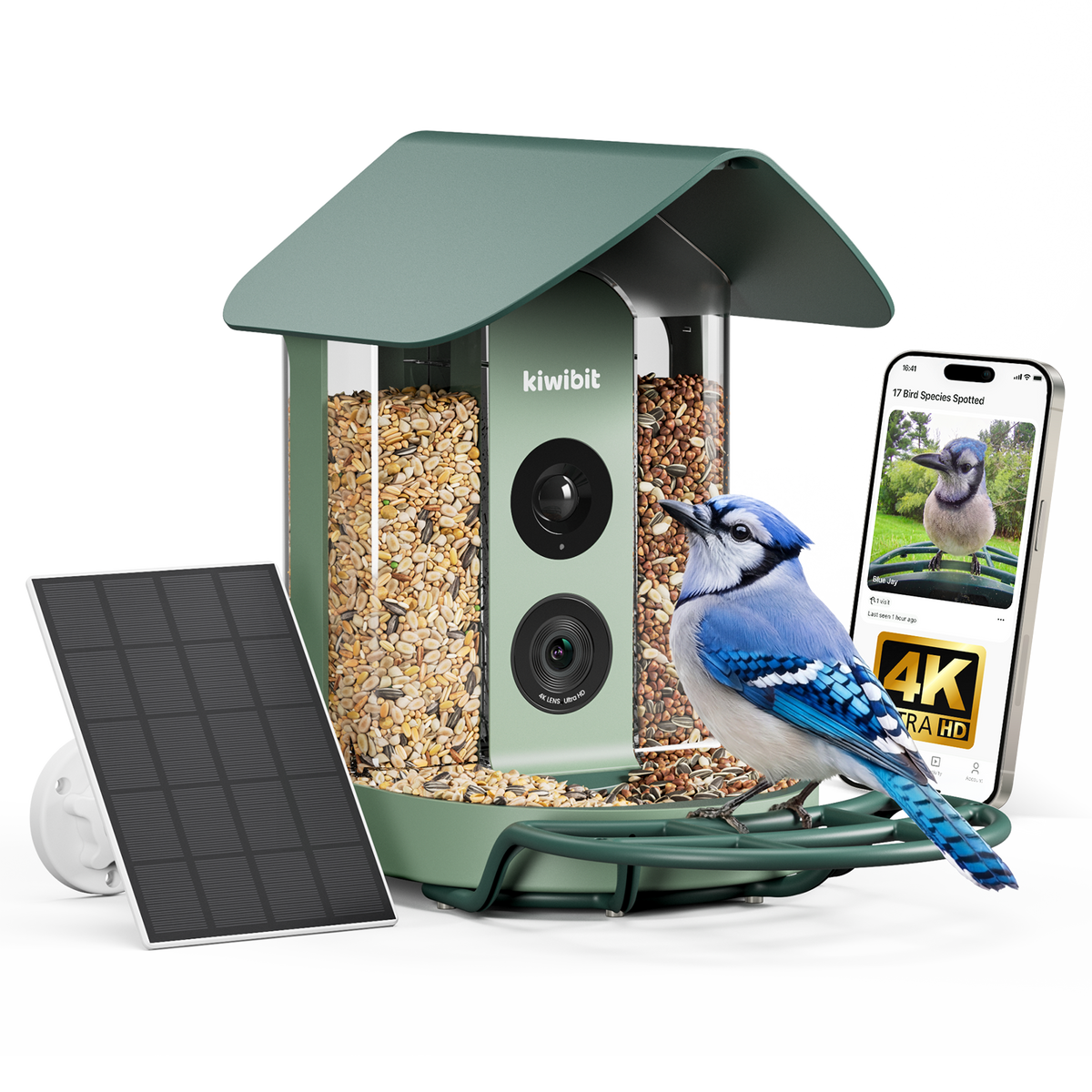 Kiwibit Bird Feeder