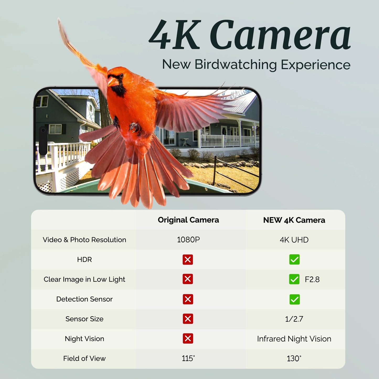 Beako™ Smart Bird Feeder