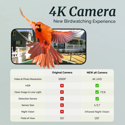 Beako™ Smart Bird Feeder
