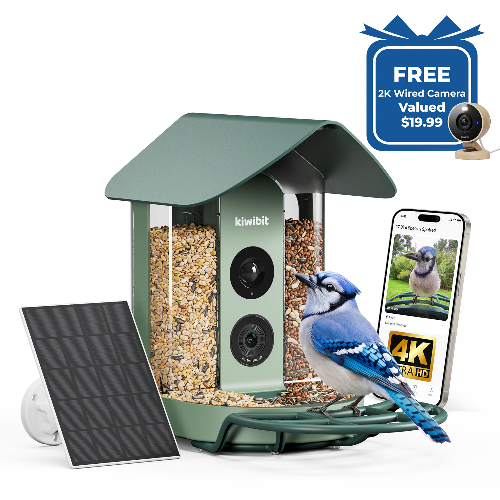 Kiwibit Smart Bird Feeder 4K Camera | Solar-Powered Smart Bird Cameras ...