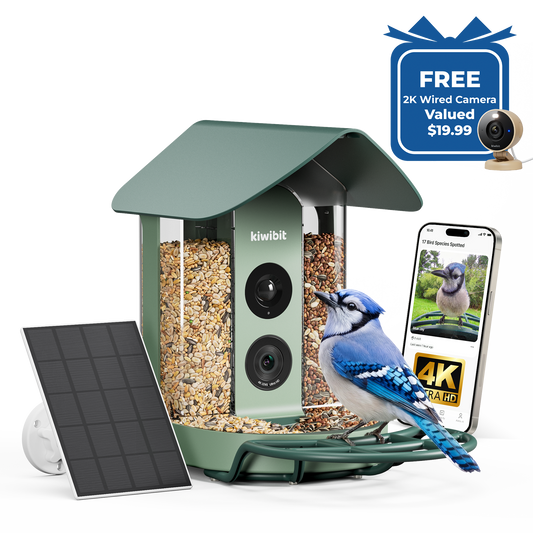 Kiwibit Bird Feeder 4K AI Camera Solar Panel Kit + Free 2K Wired Security Camera