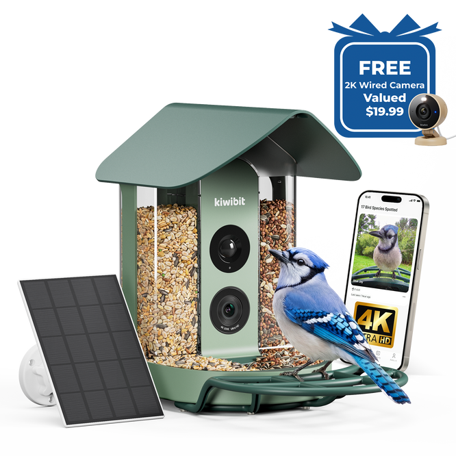 Kiwibit Bird Feeder 4K AI Camera Solar Panel Kit + Free 2K Wired Security Camera
