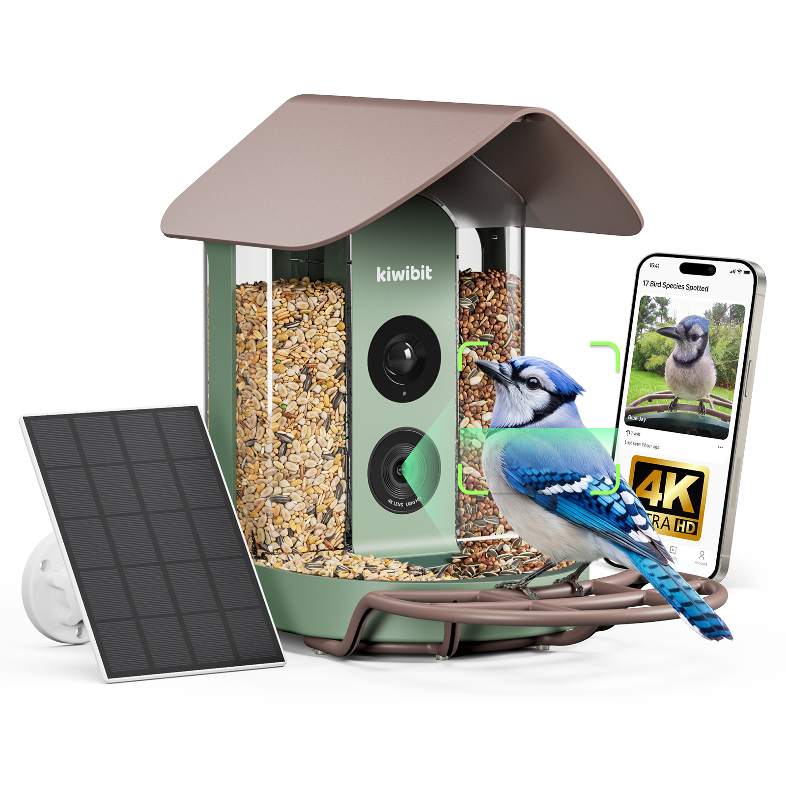 Bird Feeder 4K AI Camera Solar Panel Kit