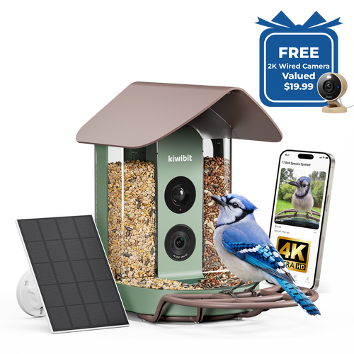 Kiwibit Bird Feeder 4K AI Camera Solar Panel Kit (Lifetime AI Included) + Free 2K Wired Security Camera