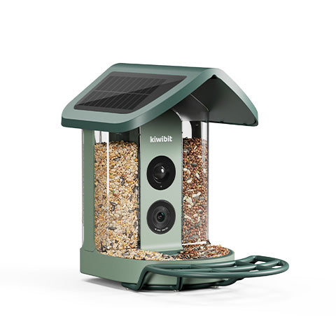 Kiwibit Bird Feeder 2