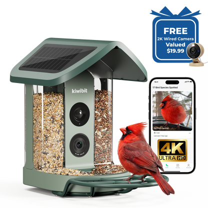 Kiwibit Bird Feeder 2 4K AI Camera with Solar Panel + Free 2K Wired Security Camera