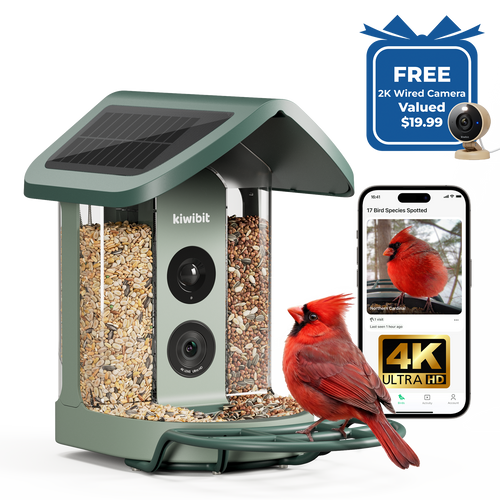 Kiwibit Bird Feeder 2 4K AI Camera with Solar Panel + Free 2K Wired Security Camera