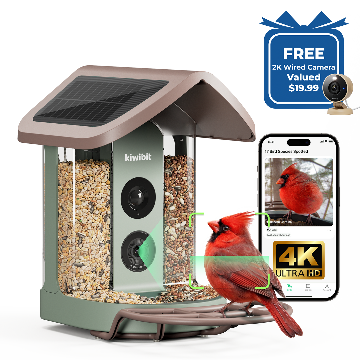 Kiwibit Bird Feeder 2 4K AI Camera with Solar Panel + Free 2K Wired Security Camera