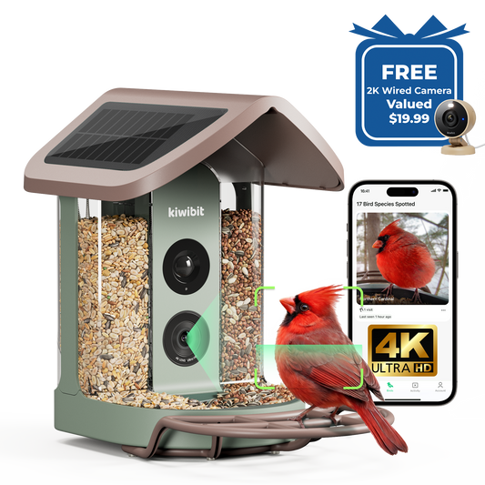 Kiwibit Bird Feeder 2 4K AI Camera with Solar Panel (Lifetime AI included) + Free 2K Wired Security Camera