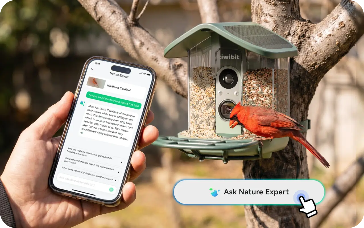 Nature Expert