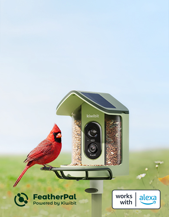 Premium Birdwatching, Made Easy