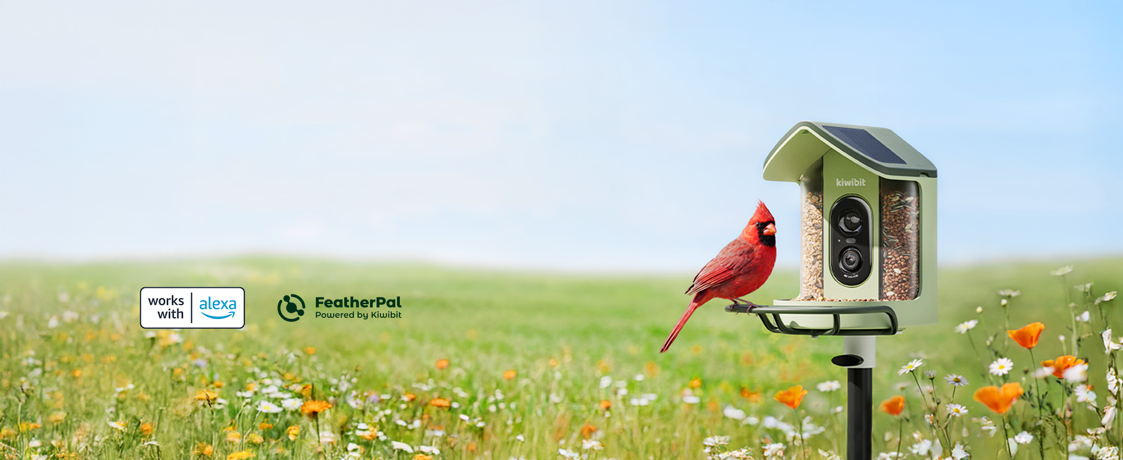 Premium Birdwatching, Made Easy