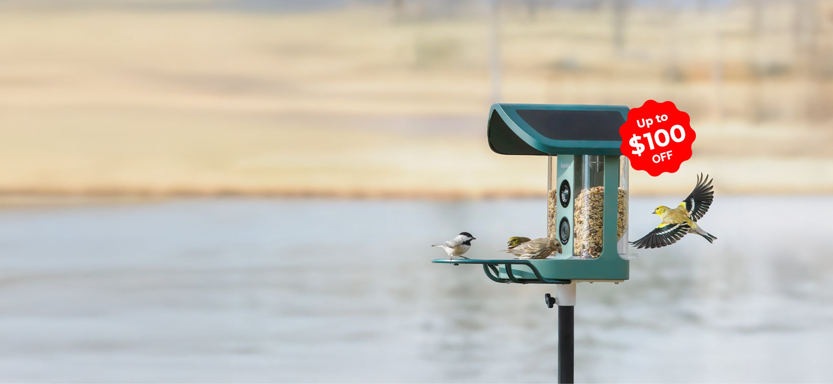 Meet Your Backyard Regulars