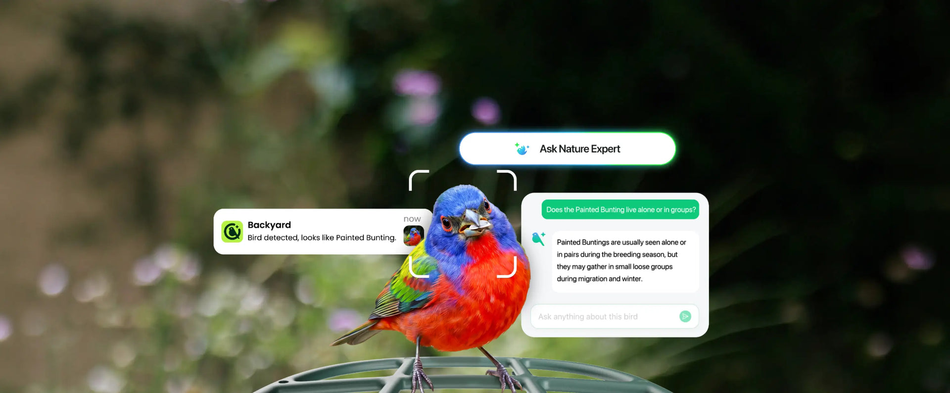 The Intelligence Platform Inside Kiwibit