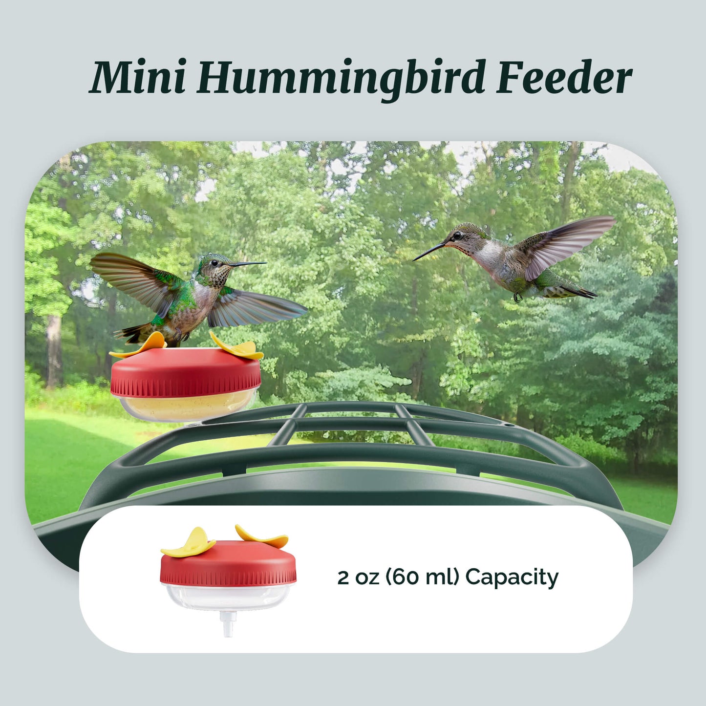 Beako™ Smart Bird Feeder – Complete DIY Accessory Kit