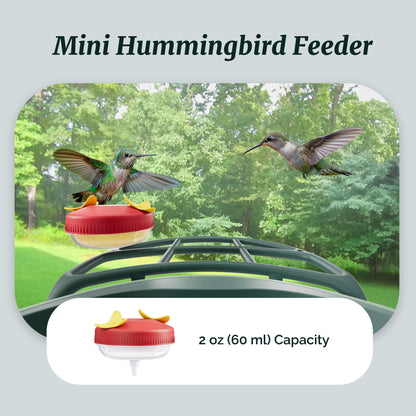 Beako™ Smart Bird Feeder – Complete DIY Accessory Kit
