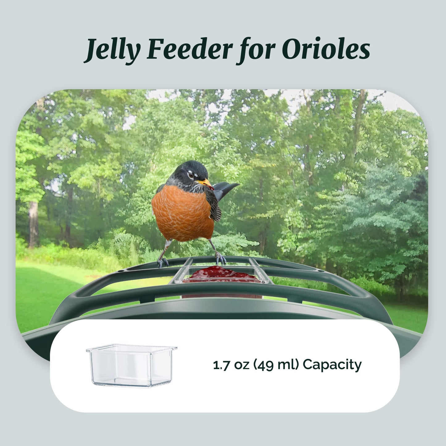 Beako™ Smart Bird Feeder – Complete DIY Accessory Kit