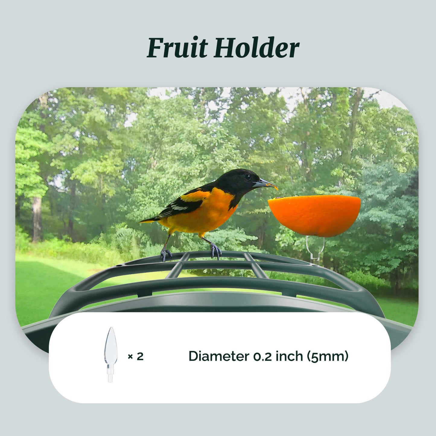 Beako™ Smart Bird Feeder – Complete DIY Accessory Kit