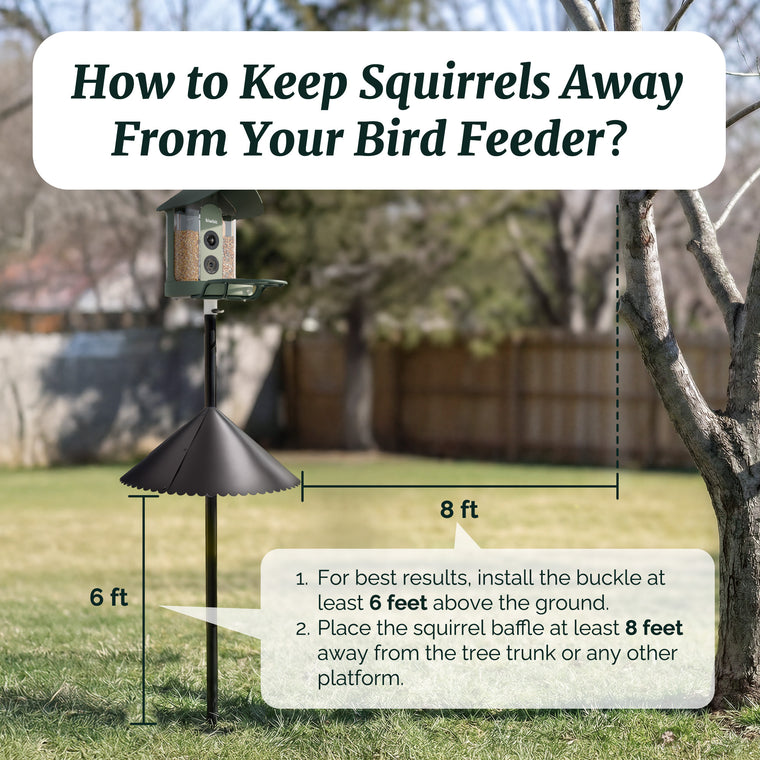 Kiwibit 19" Squirrel Baffle for Bird Feeder Pole