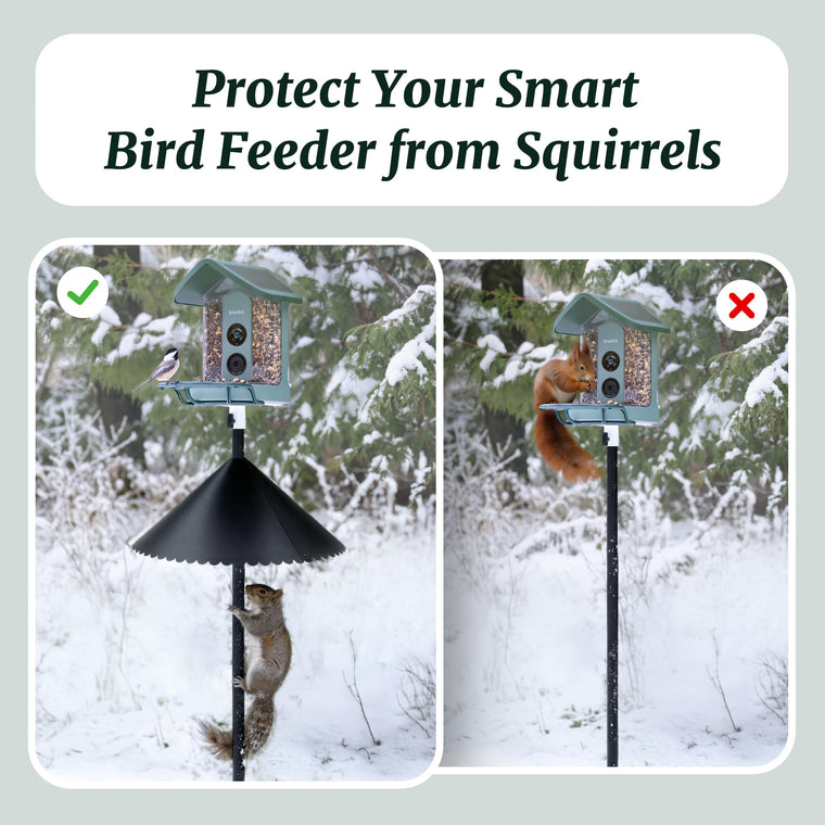 Kiwibit 19" Squirrel Baffle for Bird Feeder Pole