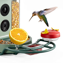 Beako™ Smart Bird Feeder – Complete DIY Accessory Kit