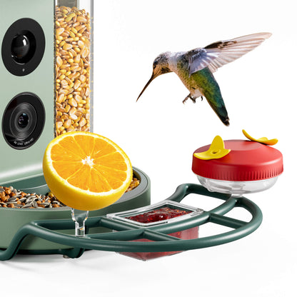 Beako™ Smart Bird Feeder – Complete DIY Accessory Kit