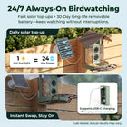 Kiwibit Bird Feeder 4K AI Camera Solar Panel Kit (Lifetime AI Included)