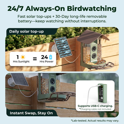 Kiwibit Bird Feeder 4K AI Camera Solar Panel Kit (Lifetime AI Included) + Free 2K Wired Security Camera