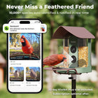 Kiwibit Bird Feeder 4K AI Camera Solar Panel Kit (Lifetime AI Included)