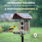 Kiwibit Bird Feeder 2 4K AI Camera with Solar Panel (Lifetime AI Included)