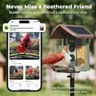 Kiwibit Bird Feeder 2 4K AI Camera with Solar Panel (Lifetime AI Included)