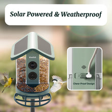 Beako™ 4K Smart Bird Feeder with Solar Roof